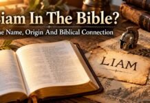 What Does Liam Mean In The Bible? Is Liam a Biblical Name? What does Liam mean in the Bible name study