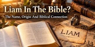 What Does Liam Mean In The Bible? Is Liam a Biblical Name? What does Liam mean in the Bible name study