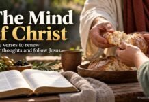 Have the Mind of Christ Bible Verse: Meaning and Daily Practice Have the Mind of Christ Bible verse and serving hands