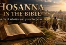 Who Was Hosanna In The Bible And Its Meaning