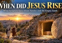When Did Jesus Resurrect? The Bible’s Third-Day Timeline When did Jesus resurrect? Open tomb at sunrise