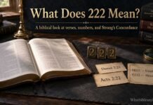 What Does 222 Mean Spiritually in the Bible? A Scriptural Answer What Does 222 Mean Spiritually in the Bible study