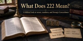 What Does 222 Mean Spiritually in the Bible study