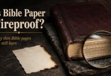 Is Bible Paper Fireproof? What Bible Pages Are Actually Made Of Is Bible paper fireproof beside a slightly charred Bible page