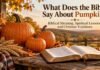 What Does the Bible Say About Pumpkins in Autumn
