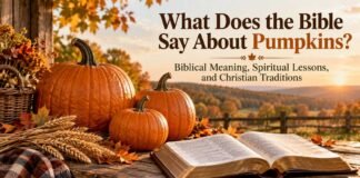 What Does the Bible Say About Pumpkins in Autumn