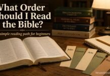 What Order Should I Read The Bible In? A Simple Guide for Beginners What order should I read the Bible in for beginners
