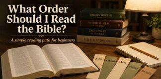 What order should I read the Bible in for beginners