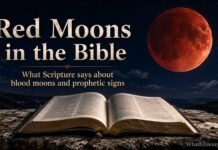 What Does the Bible Say About Red Moons? Meaning and Signs What the Bible says about red moons and blood moons
