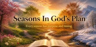Biblical meaning of seasons with open Bible and changing sky