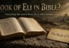 Is The Book of Eli In The Bible beside the story of Eli in Samuel