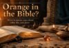 What Does Color Orange Mean in the Bible with warm fire imagery