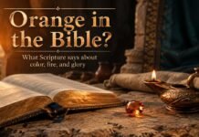What Does Color Orange Mean in the Bible? Meaning and Symbolism What Does Color Orange Mean in the Bible with warm fire imagery