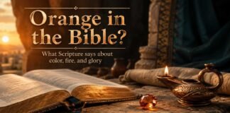 What Does Color Orange Mean in the Bible with warm fire imagery
