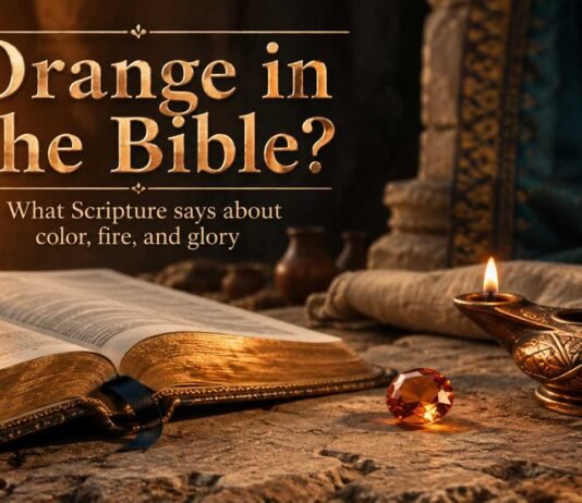 What Does Color Orange Mean in the Bible? Meaning and Symbolism What Does Color Orange Mean in the Bible with warm fire imagery
