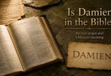 Is The Name Damien In The Bible? Meaning, Origin, and Christian History Is the Name Damien in the Bible with Greek and Christian meaning