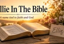 What Does Ellie Mean In The Bible? Name Meaning and Faith What Does Ellie Mean In The Bible with open Scripture