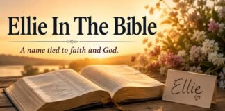 What Does Ellie Mean In The Bible? Name Meaning and Faith What Does Ellie Mean In The Bible with open Scripture