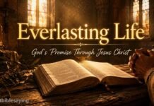 What Does Everlasting Life Mean In The Bible and Why It Matters Open Bible showing everlasting life meaning in John 3:16
