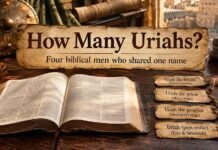 How Many Uriah Are in the Bible? The 4 People Explained How Many Uriah in the Bible shown through key Scripture accounts