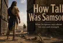 How Tall Was Samson in the Bible? Exploring Samson Stature in the Bible How tall was Samson in the Bible shown beside ancient city gates