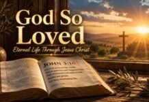 Open Bible showing John 3:16 with warm glowing light of hope