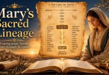 What Was Mary’s Lineage in the Bible? Her Jewish Bloodline Explained What Was Mary’s Lineage in the Bible and Jewish ancestry
