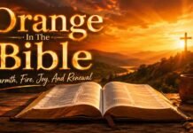 What Does Orange Represent In The Bible and Spiritual Life Open Bible with warm orange light symbolizing spiritual meaning