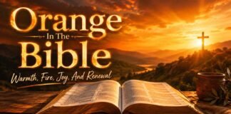 Open Bible with warm orange light symbolizing spiritual meaning
