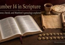 What Is the Significance of 14 in the Bible? Meaning Explained What Is the Significance of 14 in the Bible?