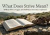What Does Strive Mean in the Bible? Meaning, Verses, and Context What Does Strive Mean in the Bible shown through an open Scripture