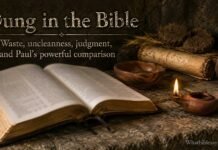 What Is Dung In The Bible? Meaning, Verses, and Paul’s Words What Is Dung In The Bible explained with Scripture