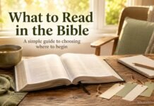 What to Read in the Bible: A Simple Guide to Where You Should Start What to read in the Bible and where to begin