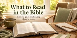 What to read in the Bible and where to begin