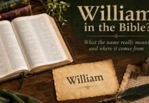 Is There a William in the Bible? Name Meaning and Origin Explained Is There a William in the Bible? William name origin and meaning