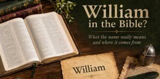 Is There a William in the Bible? William name origin and meaning