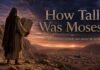 How Tall Was Moses in the Bible? What Scripture Actually Says Moses stands near Mount Sinai with the tablets, reflecting Scripture's silence about his height.