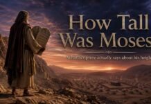 How Tall Was Moses in the Bible? What Scripture Actually Says Moses stands near Mount Sinai with the tablets, reflecting Scripture's silence about his height.
