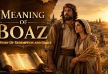 What Does Boaz Mean In The Bible and Why Is He Important? Boaz Mean In The Bible explained through Ruth story