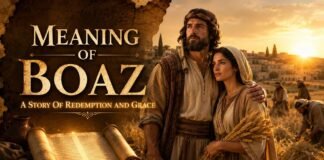 What Does Boaz Mean In The Bible and Why Is He Important? Boaz Mean In The Bible explained through Ruth story