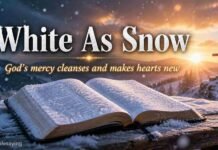 Snow symbolism in the Bible showing purity and divine cleansing