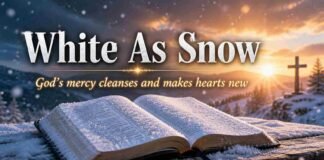 Snow symbolism in the Bible showing purity and divine cleansing