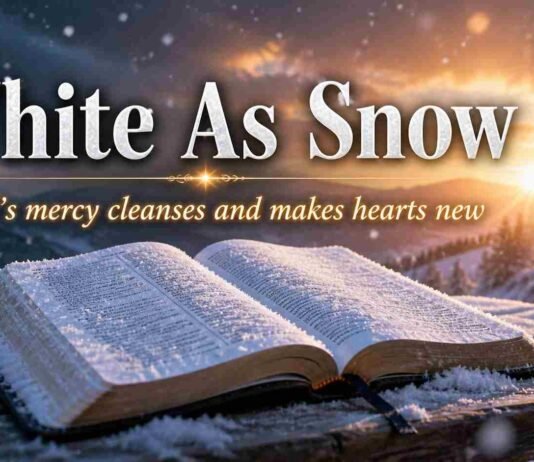 What Does Snow Symbolize In The Bible? Pure Meaning of Grace Snow symbolism in the Bible showing purity and divine cleansing