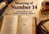 What Does 14 Mean in the Bible? Hebrew and Biblical Significance What Does 14 Mean in the Bible with David and Passover symbols