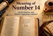 What Does 14 Mean in the Bible? Hebrew and Biblical Significance What Does 14 Mean in the Bible with David and Passover symbols