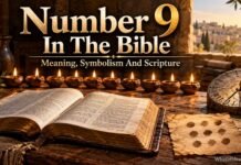What Does The Number 9 Mean According To The Bible? What does the number 9 mean according to the Bible